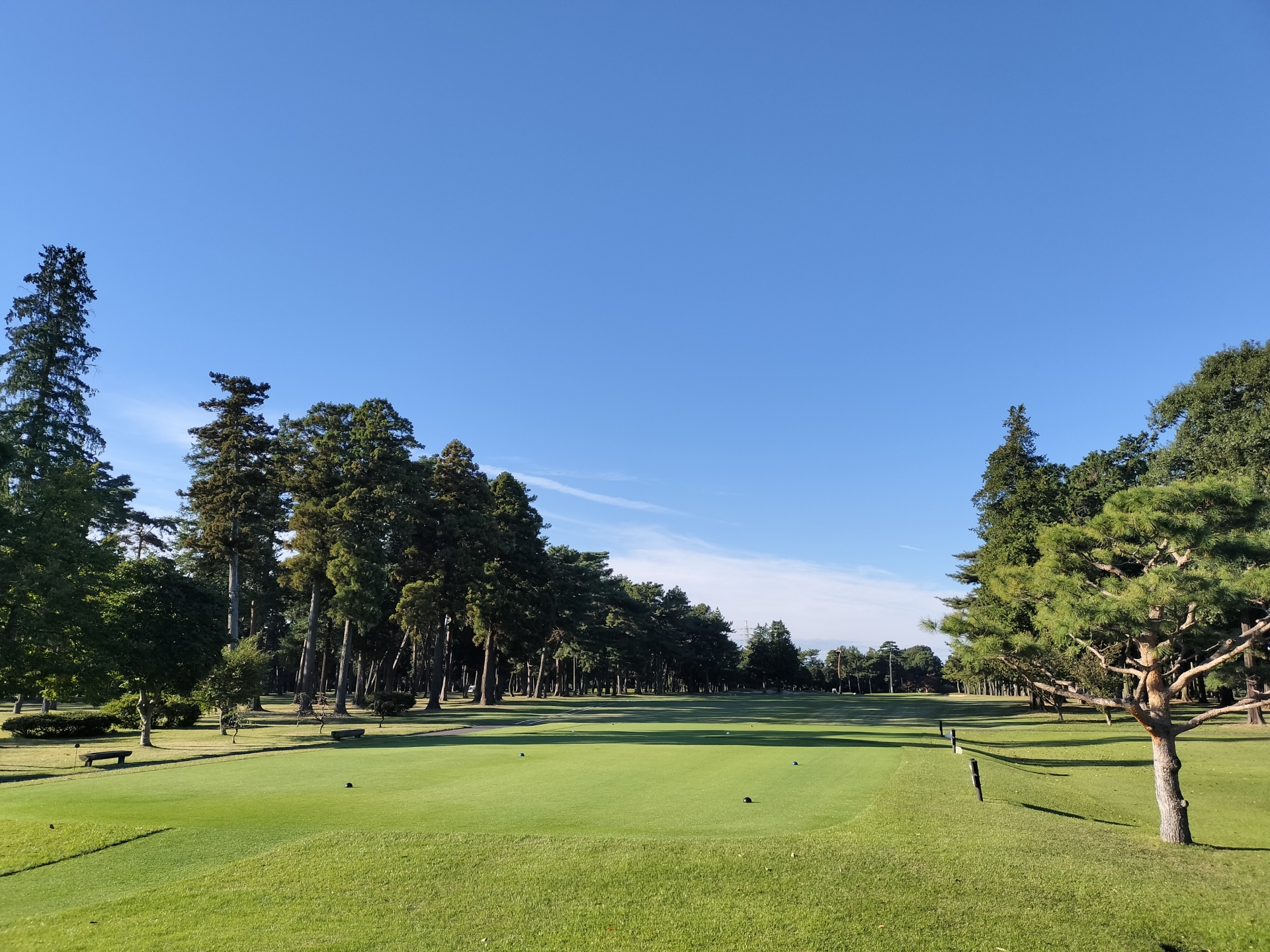 板橋区ゴルフ協会